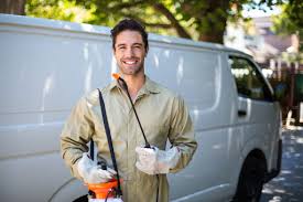 Best Termite Inspection and Treatment  in Maplewood, MO